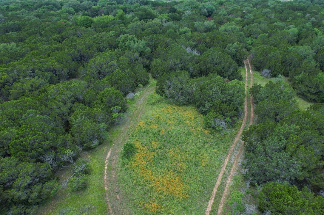 453 Old Prairie Lane, Valley Mills, Texas image 27