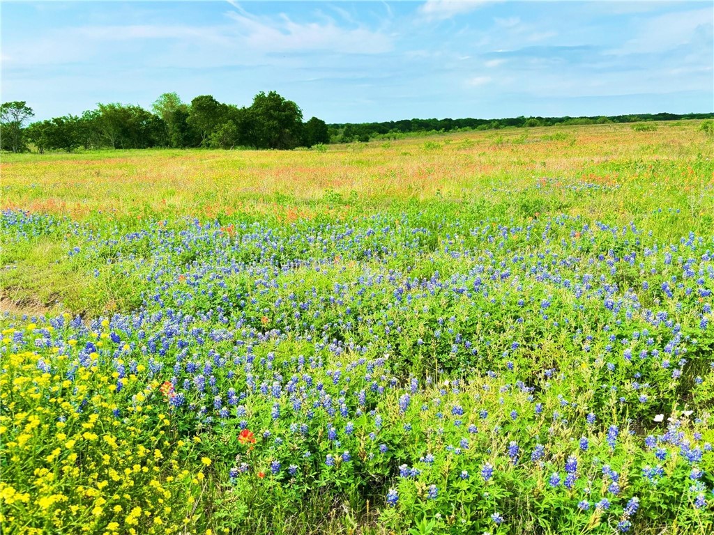 TBD Hcr 3373 Road, Hubbard, Texas image 2