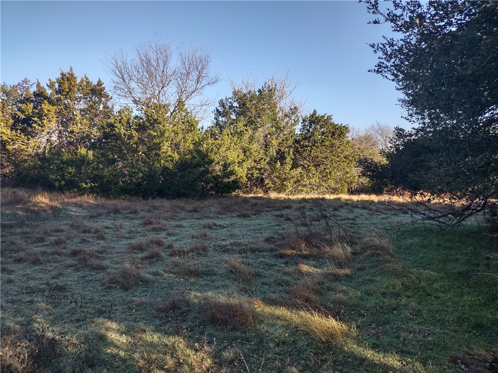 37024 Woodacre Loop, Whitney, Texas image 3