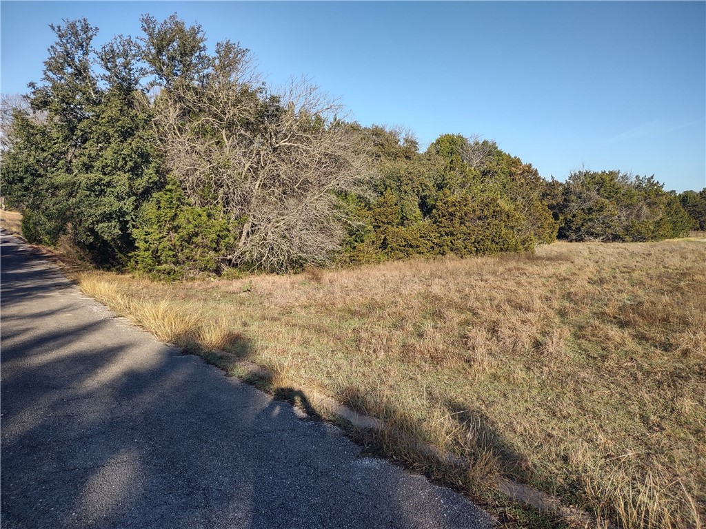 37024 Woodacre Loop, Whitney, Texas image 1