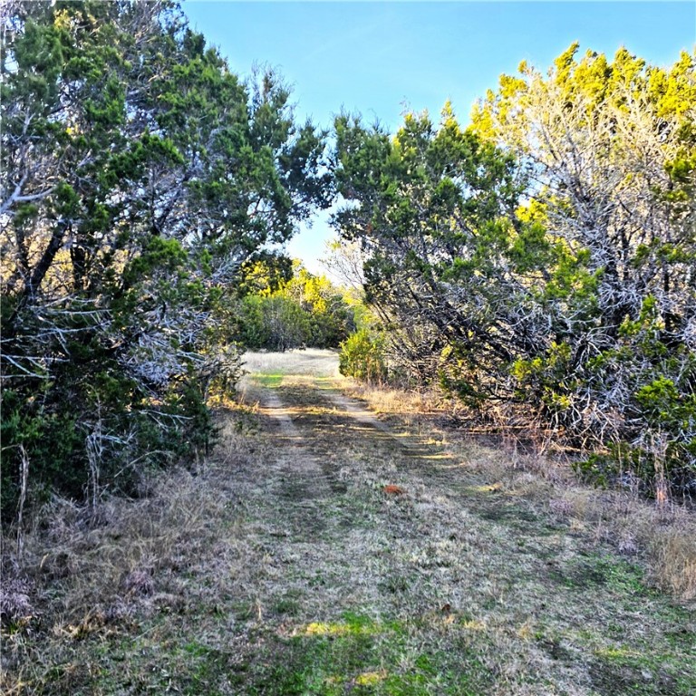 680 Hcr 2101, Whitney, Texas image 11