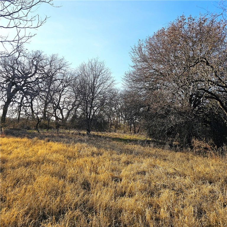 680 Hcr 2101, Whitney, Texas image 10