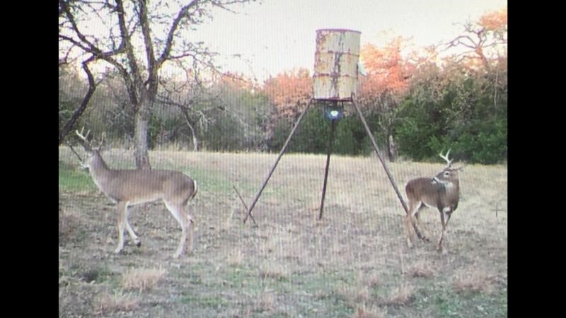 680 Hcr 2101, Whitney, Texas image 21