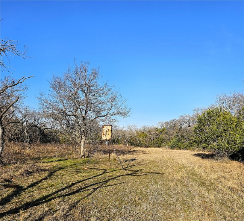 680 Hcr 2101, Whitney, Texas image 1