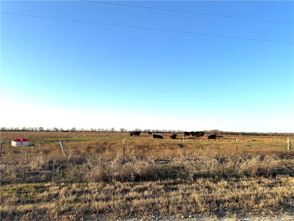 10+/- Ac. Cr 151 Road, Riesel, Texas image 3