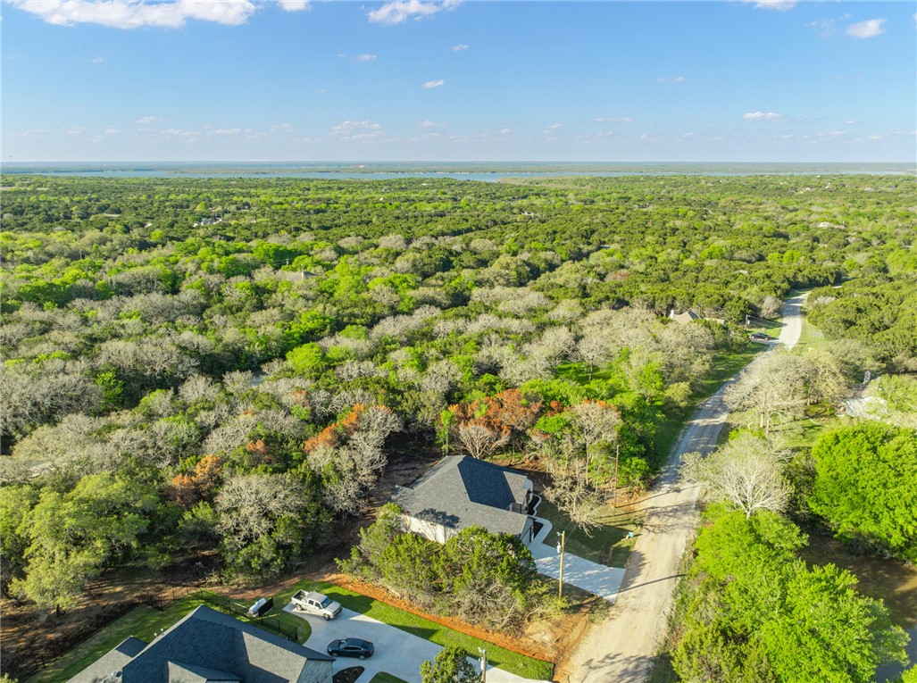 18126 Woodside Drive, Whitney, Texas image 34