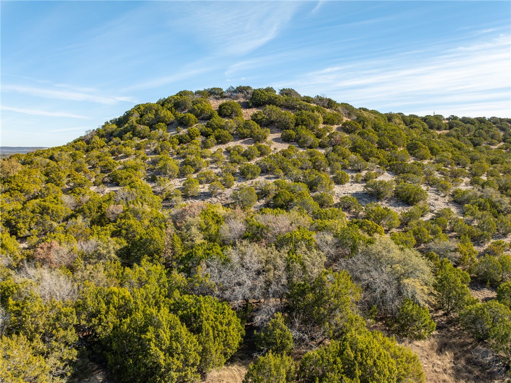 251 Pr 2120, Meridian, Texas image 9