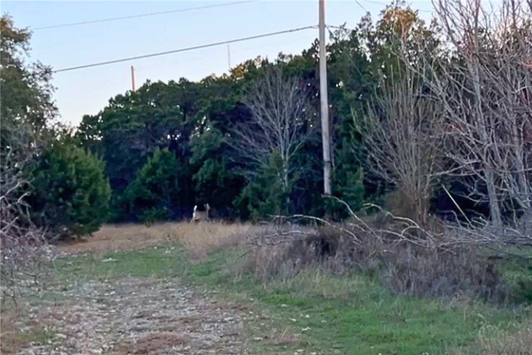 Cedar Ridge Road, Gatesville, Texas image 3