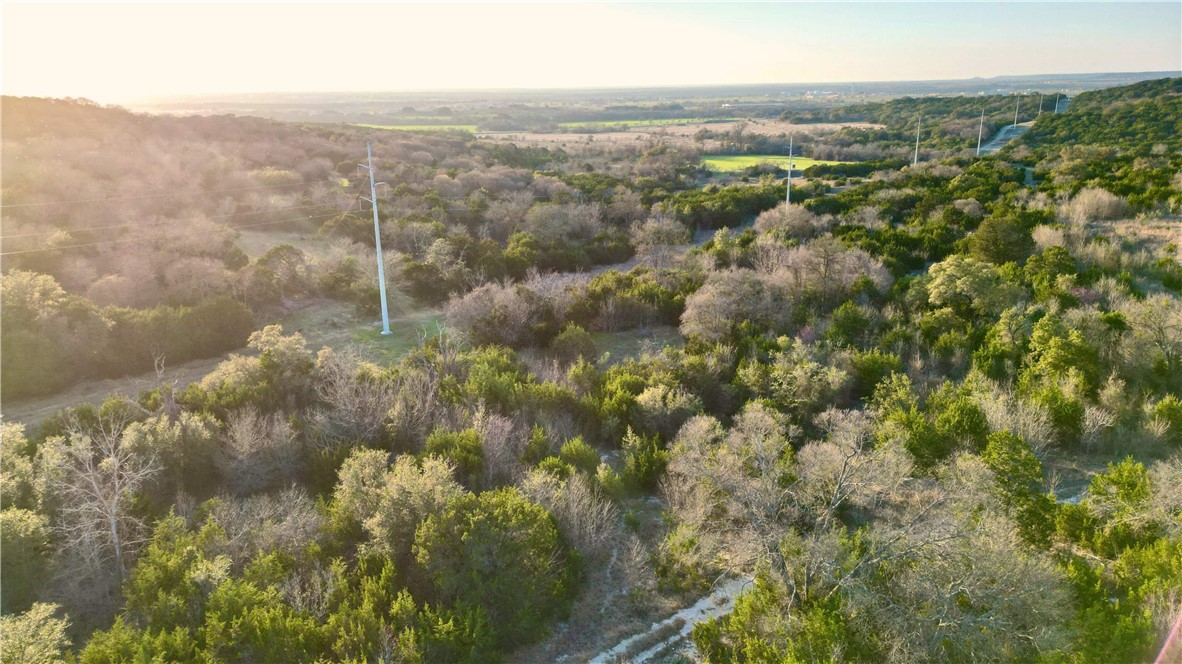 Cedar Ridge Road, Gatesville, Texas image 16