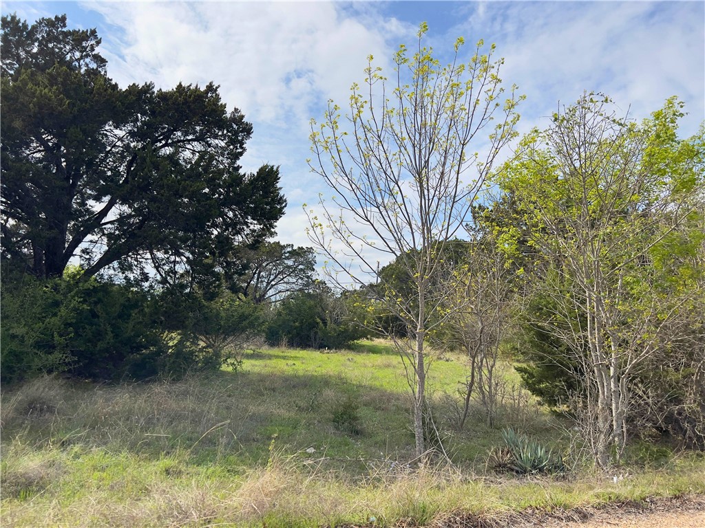 Cedar Ridge Road, Gatesville, Texas image 1