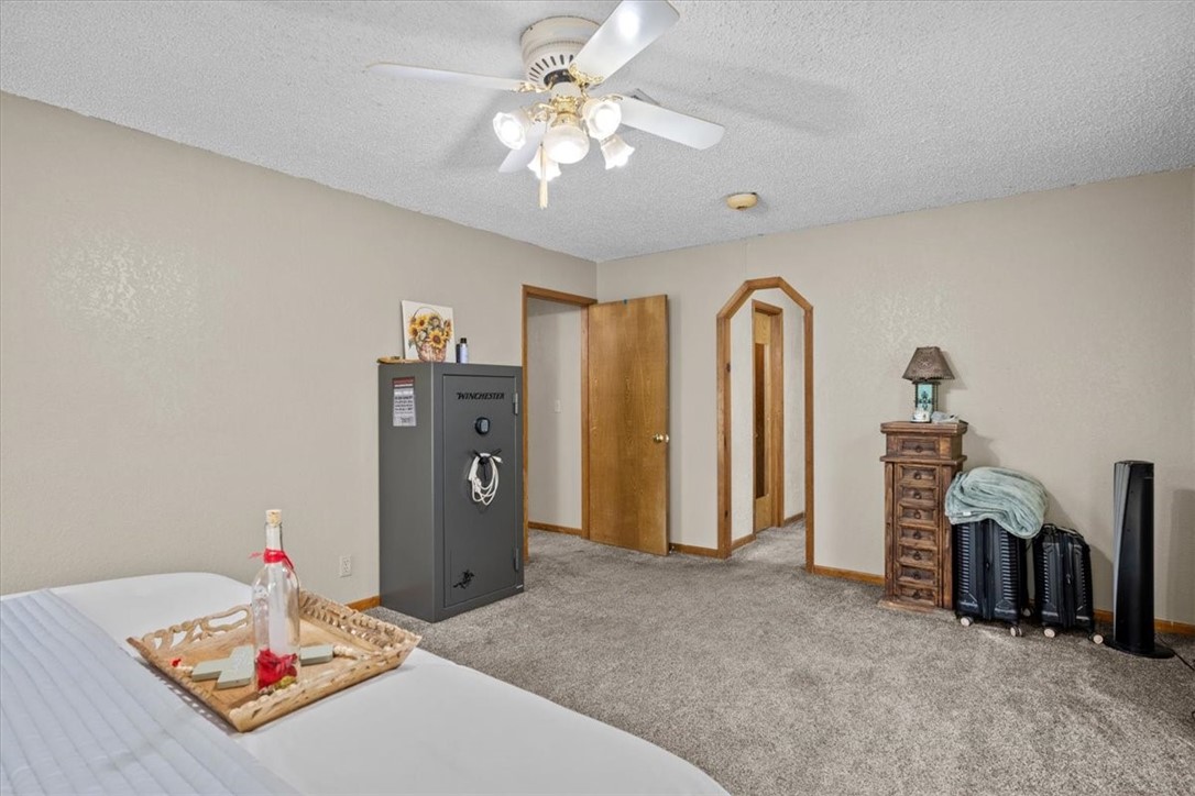 207 Quarter Horse Road, Whitney, Texas image 19