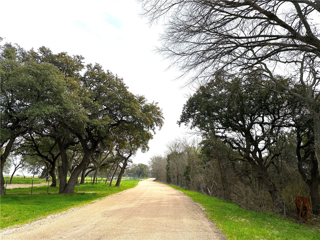 Sunset Ranch Tract 10 Cr 356 Road, Gatesville, Texas image 7