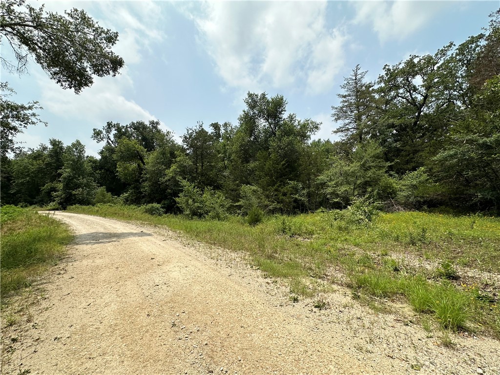 Tract 1 Lcr 701, Kosse, Texas image 2