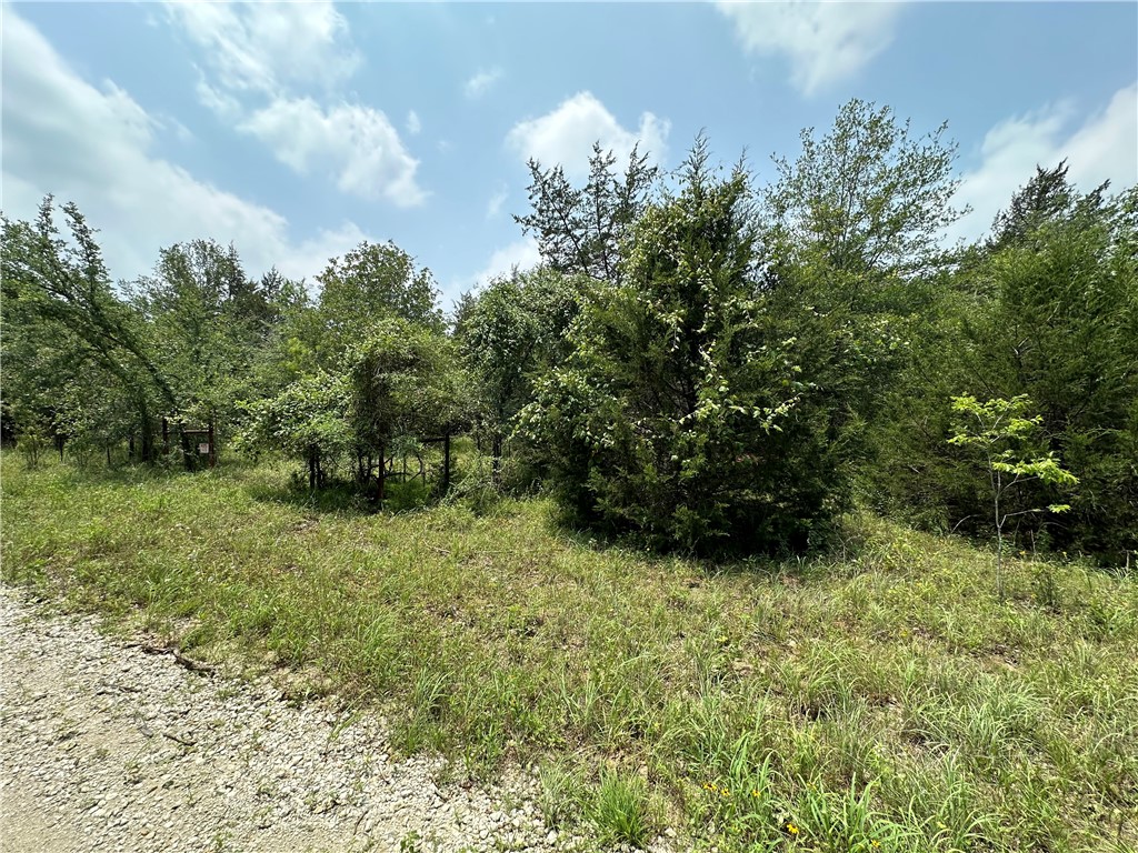 Tract 1 Lcr 701, Kosse, Texas image 6