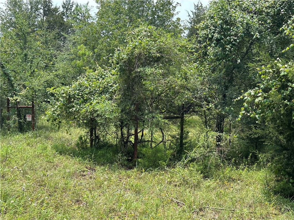 Tract 1 Lcr 701, Kosse, Texas image 3