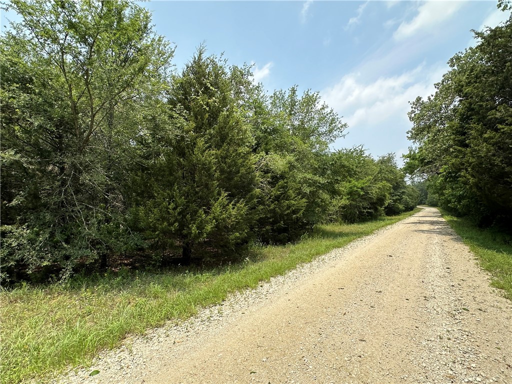 Tract 1 Lcr 701, Kosse, Texas image 5