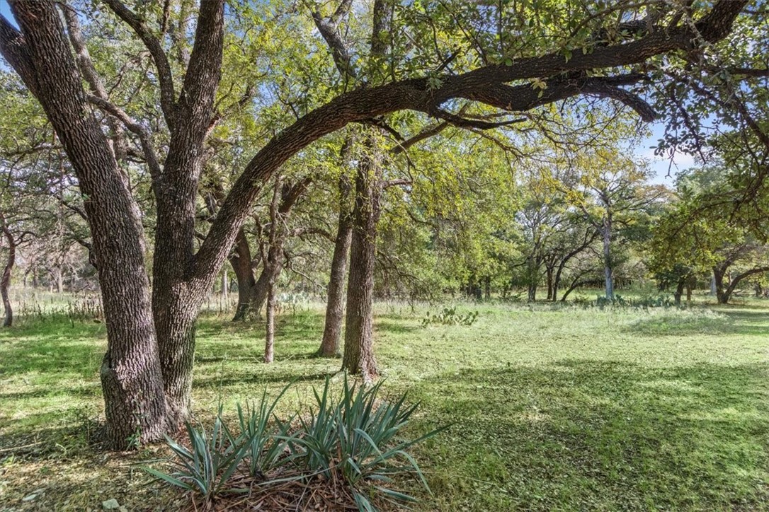 190 Winding Trail, Crawford, Texas image 34