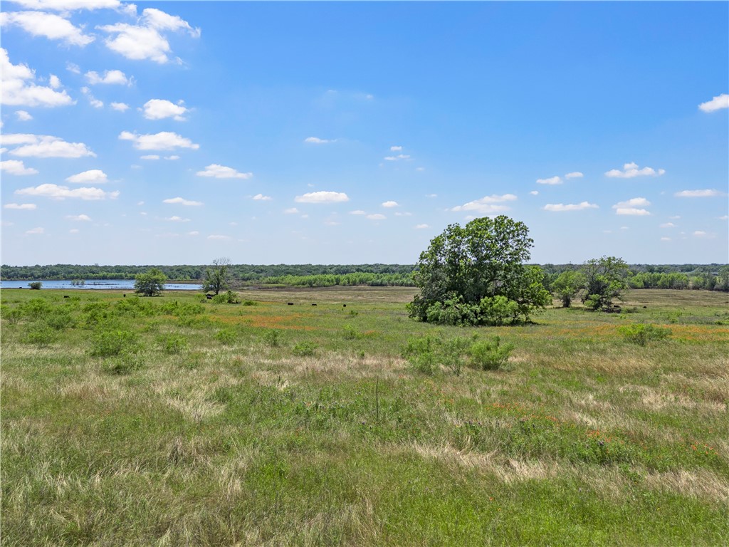 Tract 3 Oak Knoll Lane, Elm Mott, Texas image 7