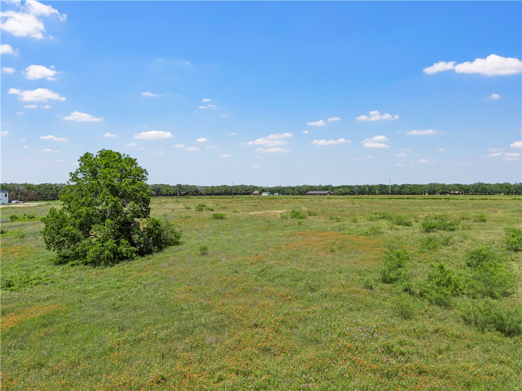 Tract 3 Oak Knoll Lane, Elm Mott, Texas image 9