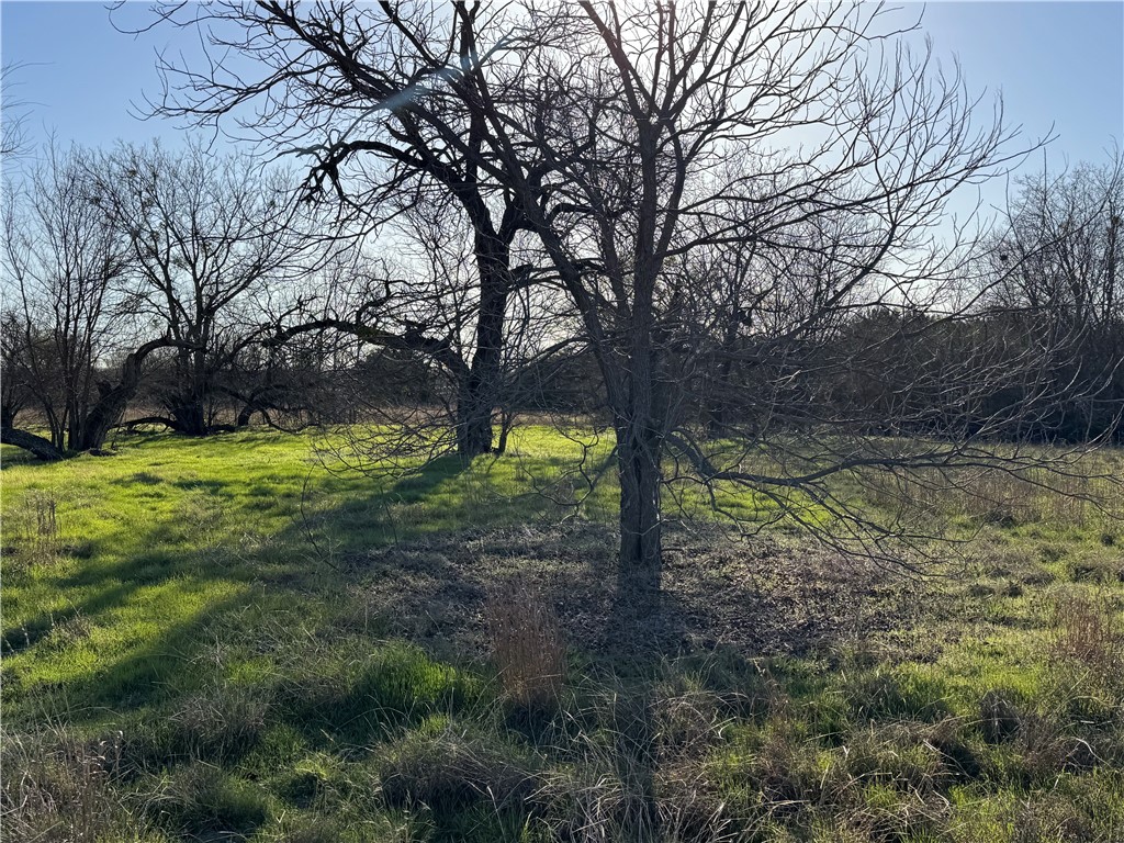 266 Scott Lane, Waco, Texas image 7