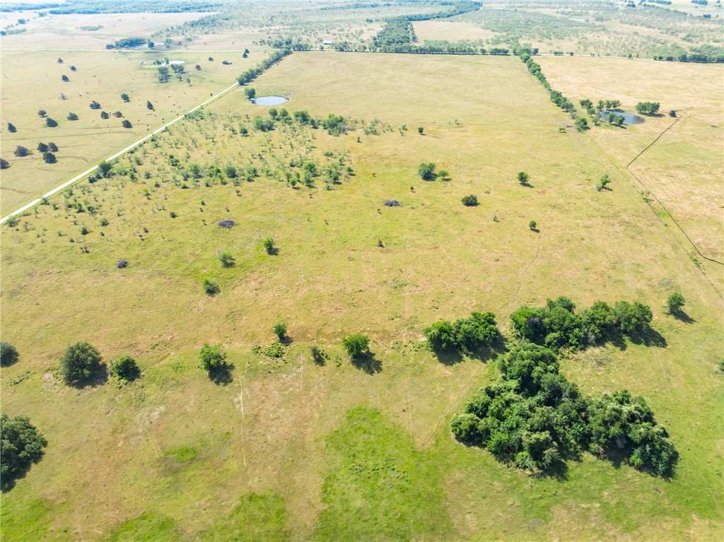 TBD Lcr 654 Road, Thornton, Texas image 13