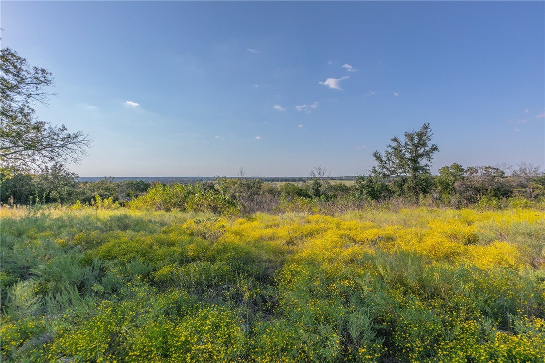 1480 Cr 127, Carlton, Texas image 13