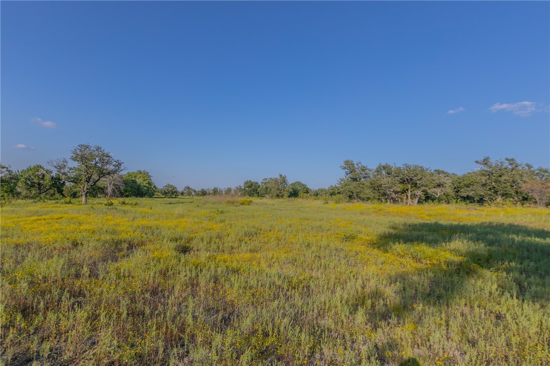 1480 Cr 127, Carlton, Texas image 15