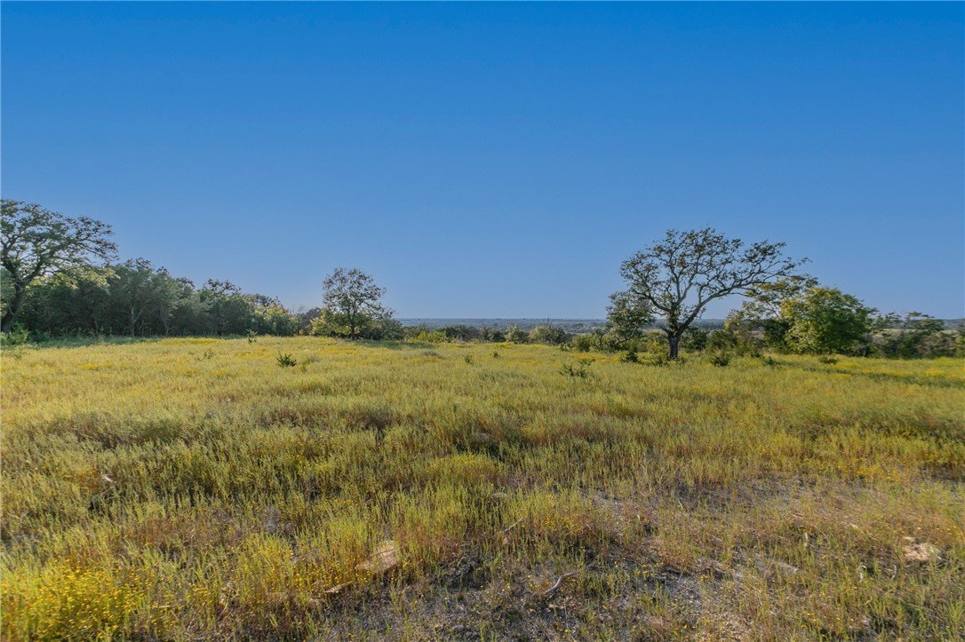 1480 Cr 127, Carlton, Texas image 14