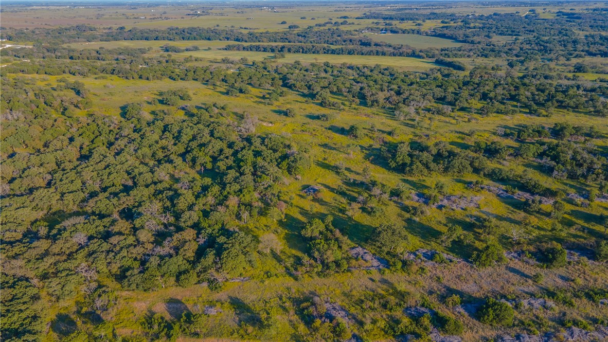 1480 Cr 127, Carlton, Texas image 20