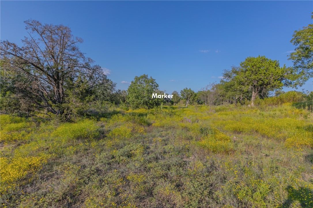 1480 Cr 127, Carlton, Texas image 11