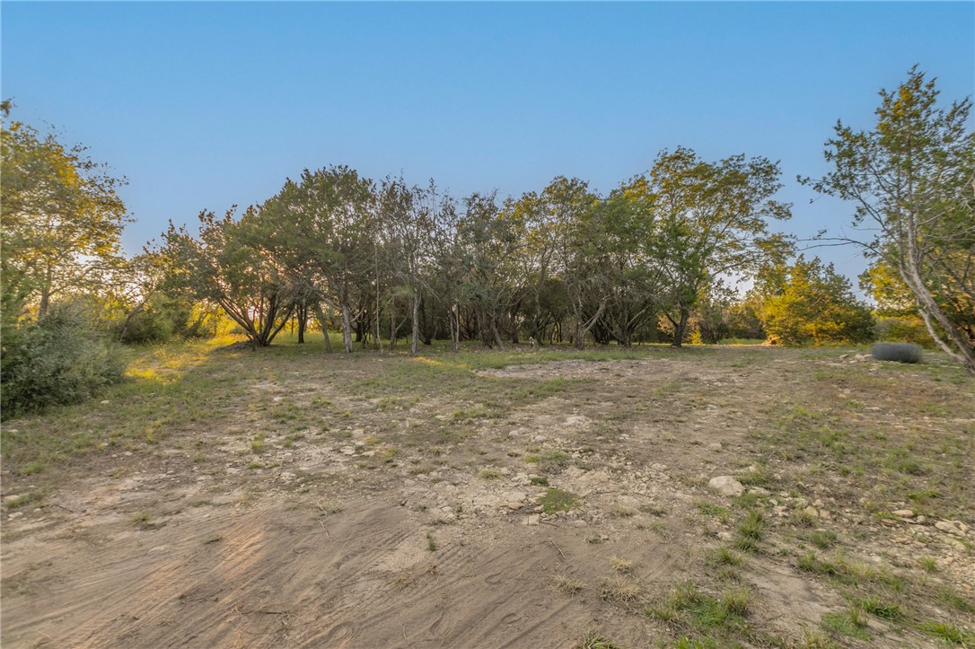 1480 Cr 127, Carlton, Texas image 3