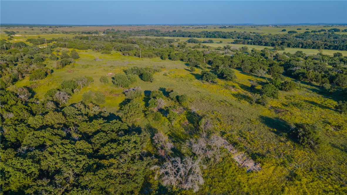 1480 Cr 127, Carlton, Texas image 19