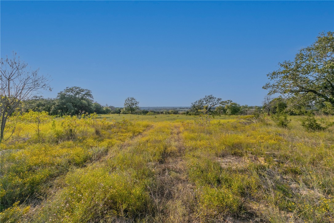 1480 Cr 127, Carlton, Texas image 12