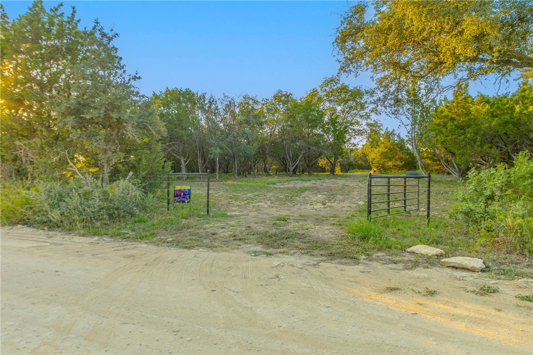 1480 Cr 127, Carlton, Texas image 1