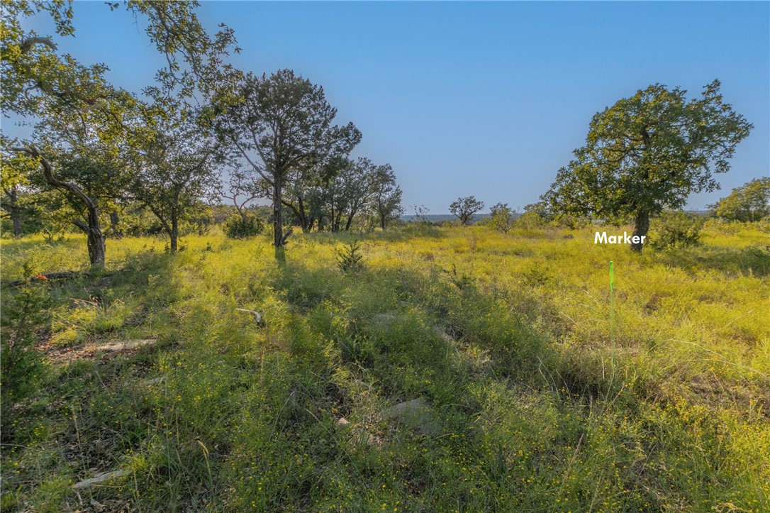 1480 Cr 127, Carlton, Texas image 9