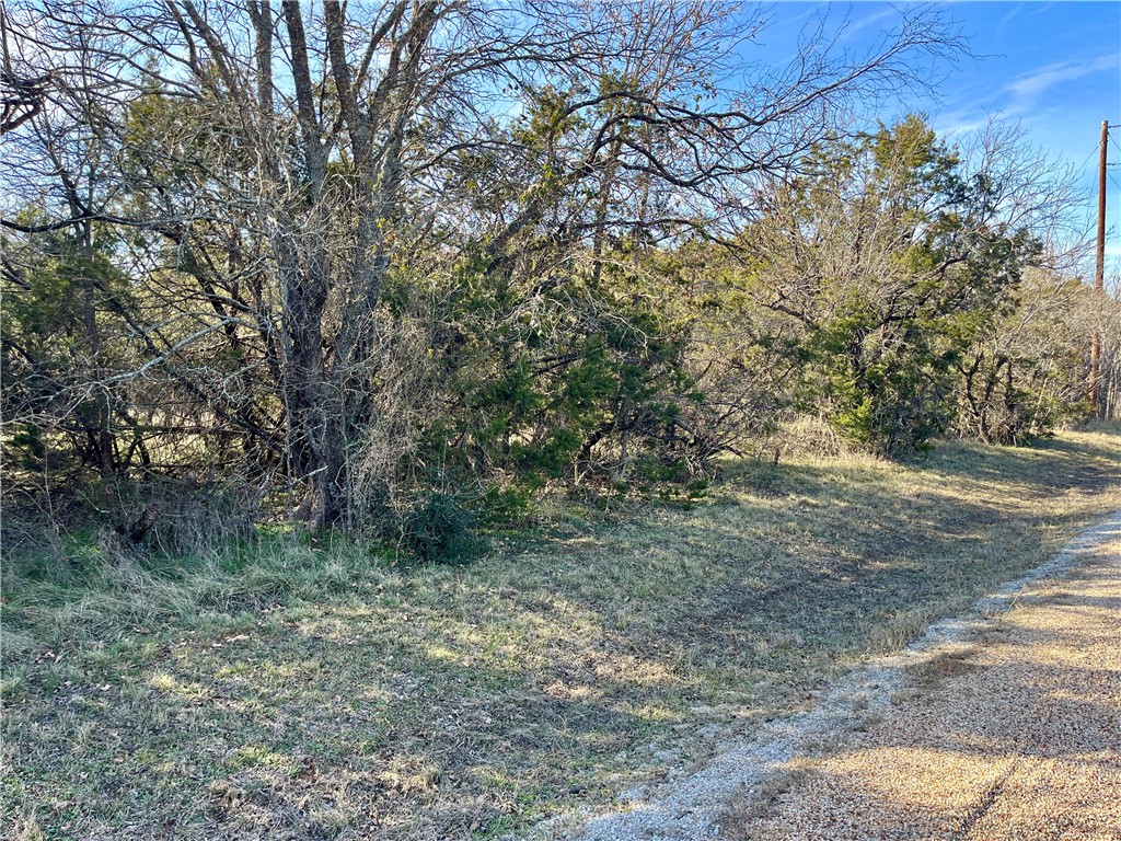 12154 Trailwood Drive, Whitney, Texas image 2