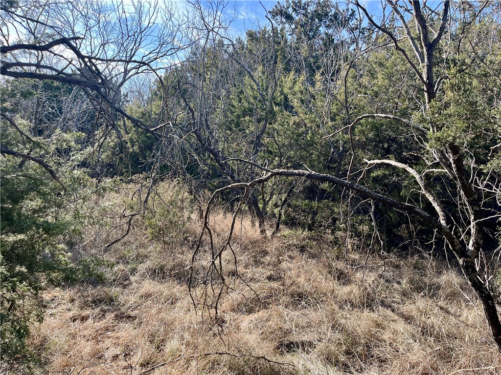 12154 Trailwood Drive, Whitney, Texas image 1