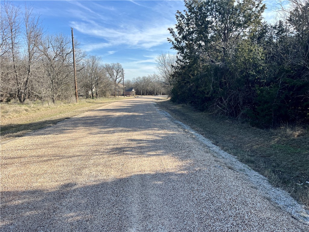 12154 Trailwood Drive, Whitney, Texas image 3