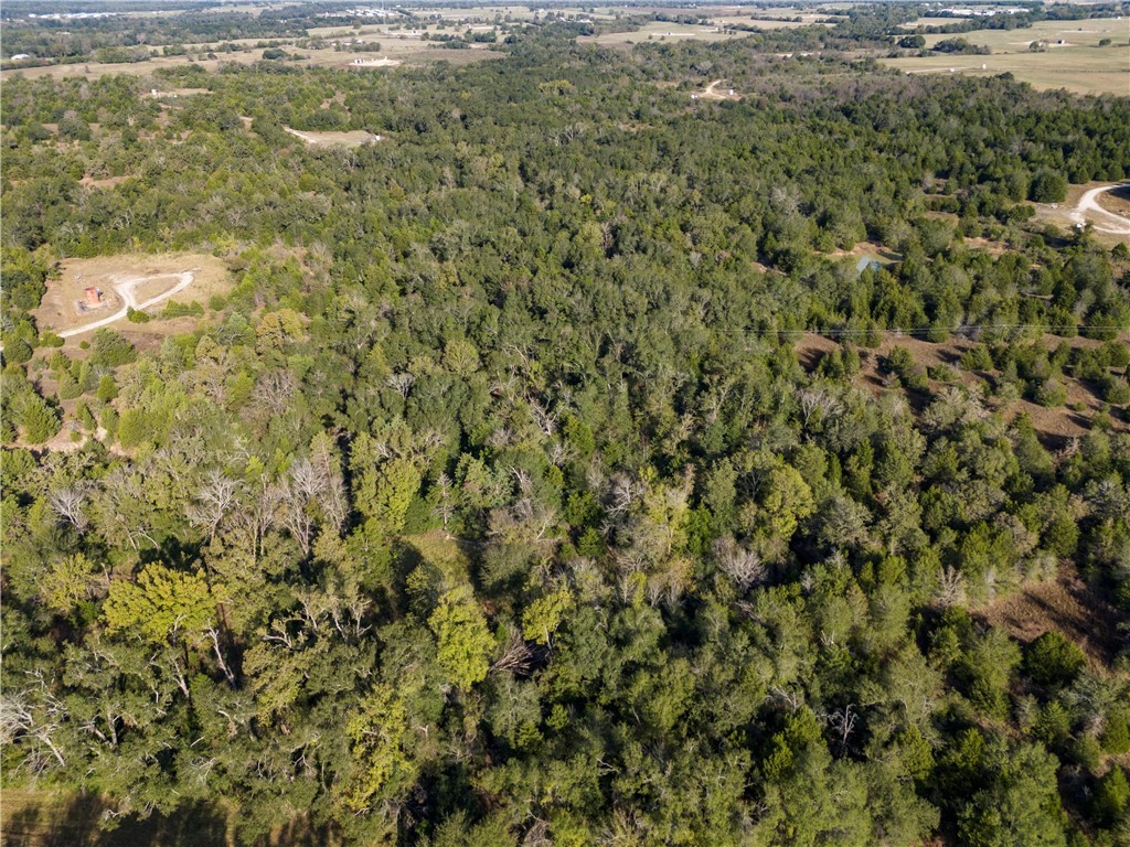 TBD W Fm 489, Teague, Texas image 3