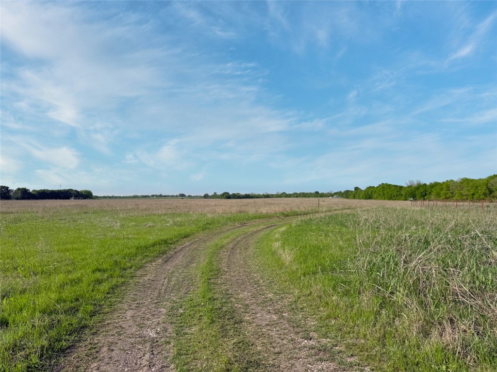 TBD Hwy 7, Chilton, Texas image 12