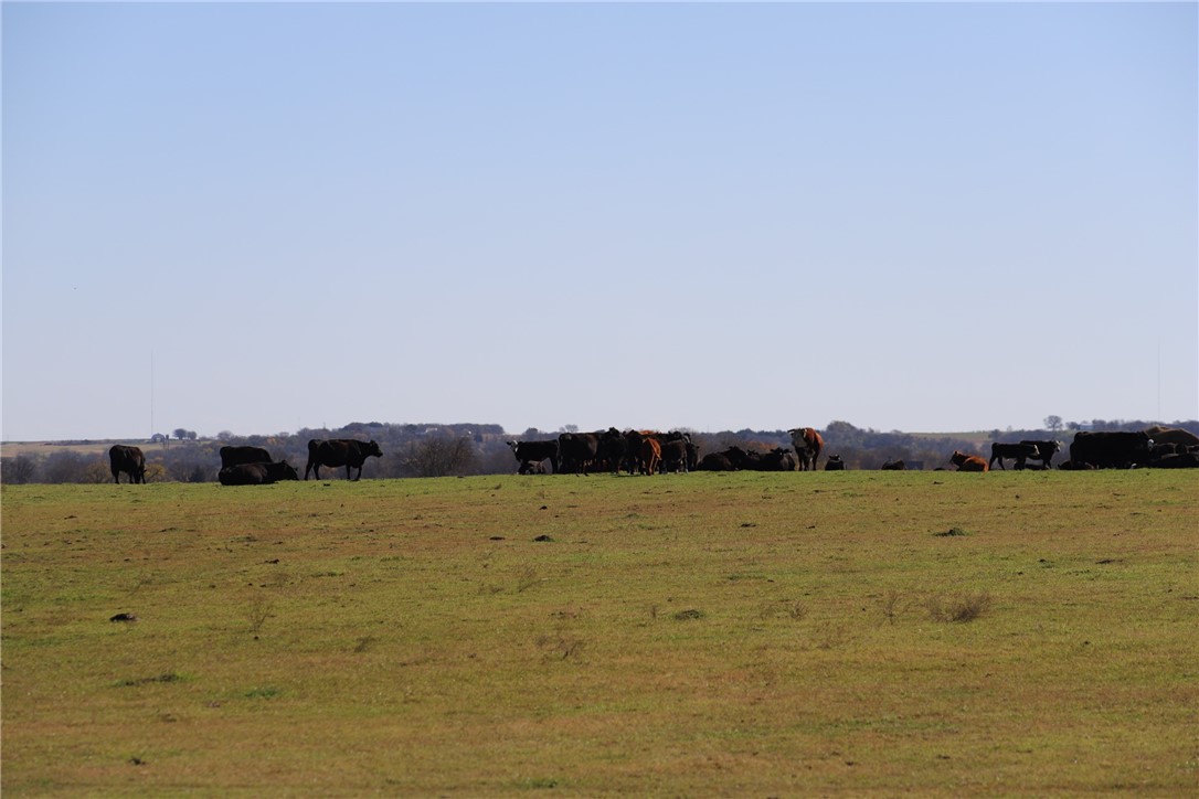 739 Willow Branch Road, McGregor, Texas image 8