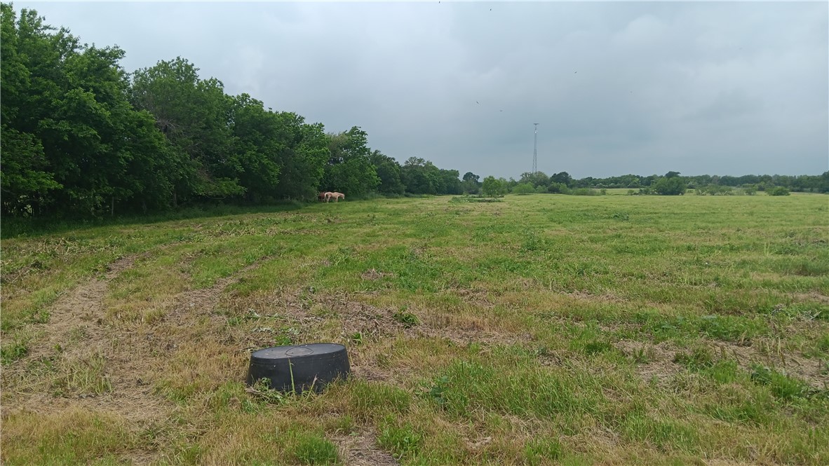 TBD Cr 494n, Chilton, Texas image 1