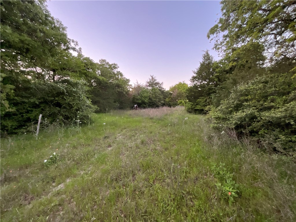 TBD Lcr 793, Groesbeck, Texas image 16