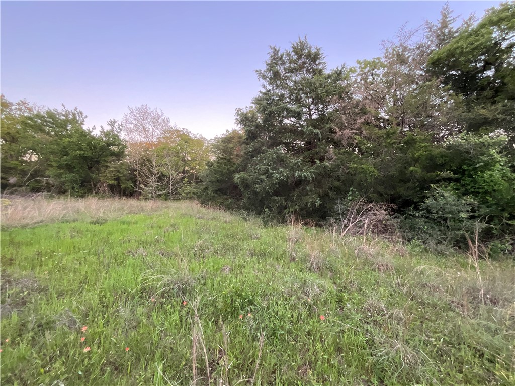 TBD Lcr 793, Groesbeck, Texas image 14