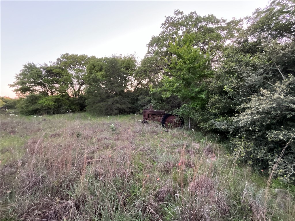 TBD Lcr 793, Groesbeck, Texas image 3