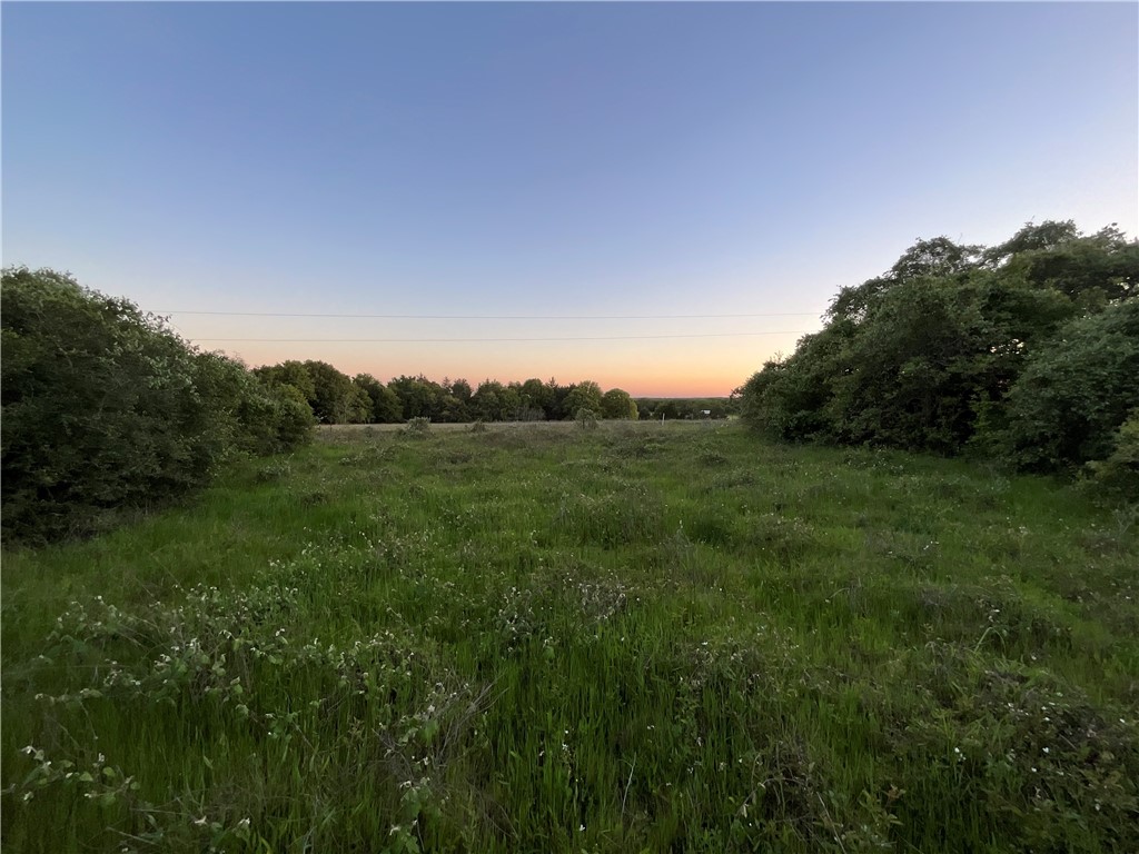 TBD Lcr 793, Groesbeck, Texas image 1