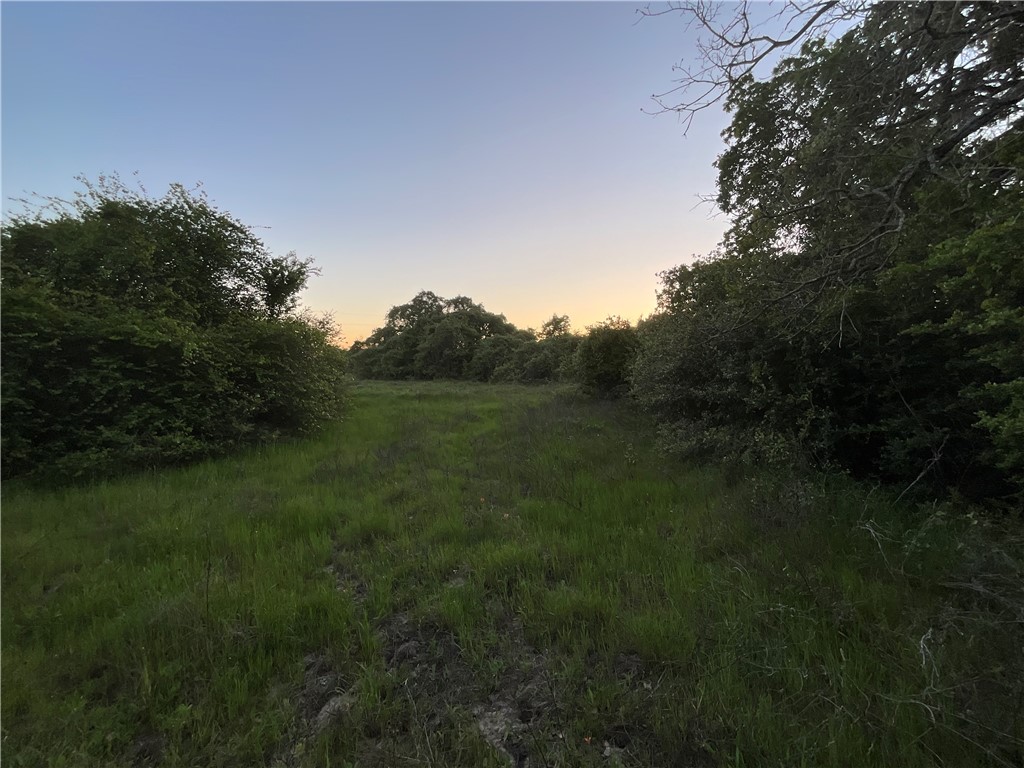 TBD Lcr 793, Groesbeck, Texas image 13