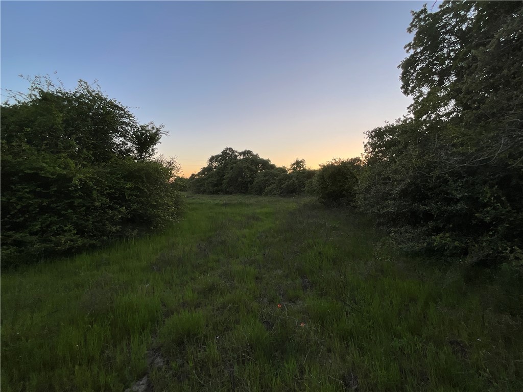 TBD Lcr 793, Groesbeck, Texas image 2