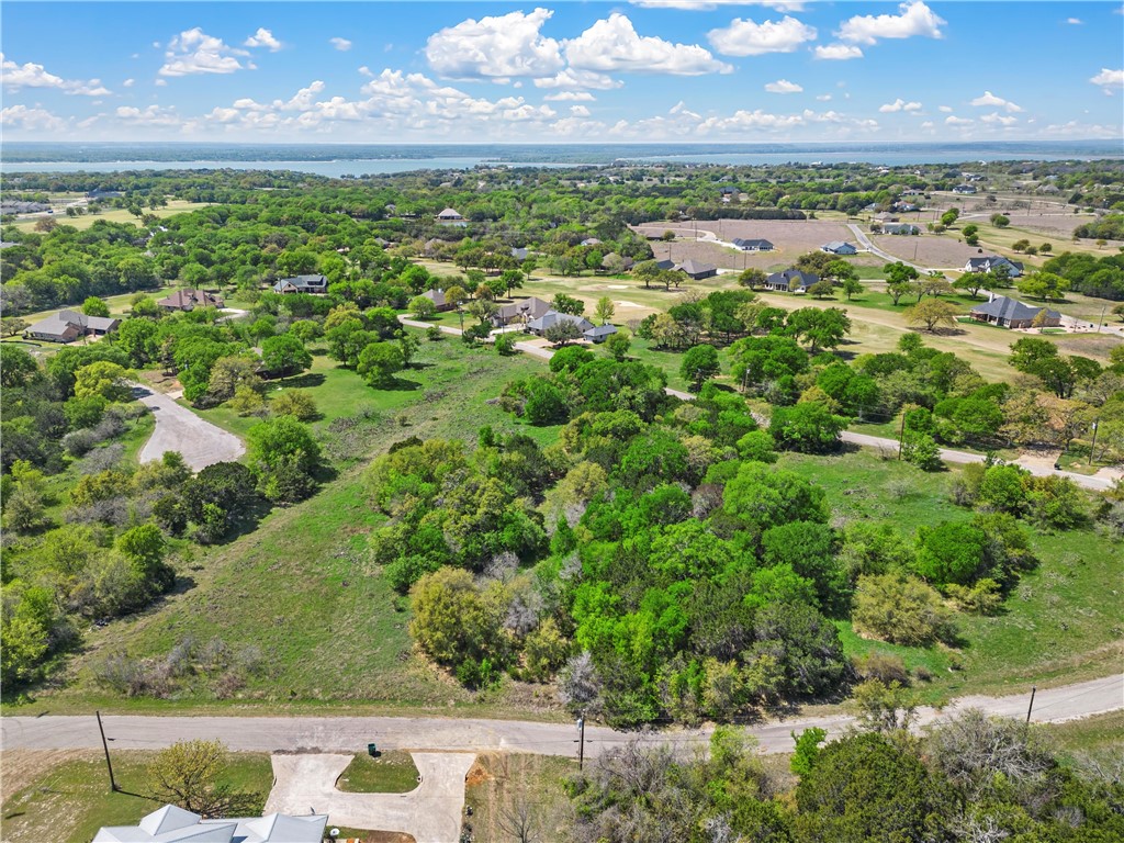 14079 Sandy Oaks Drive, Whitney, Texas image 2