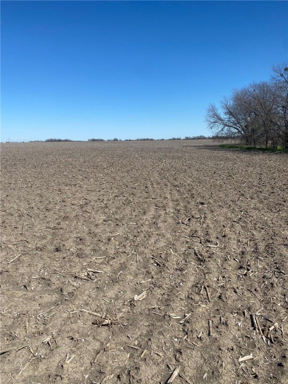 TBD Cr 459, Troy, Texas image 1